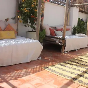 Dar Nael Hotel typu riad
